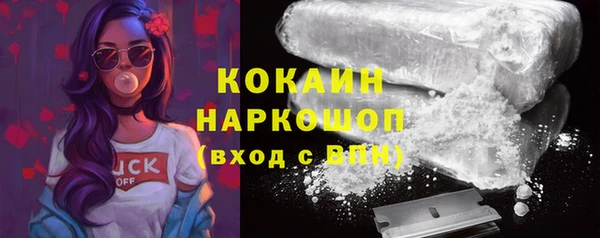 стафф Алексин