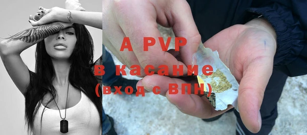 стафф Алексин