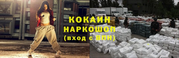 стафф Алексин