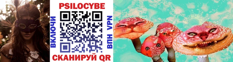 Псилоцибиновые грибы Cubensis  OMG зеркало  Бердск 
